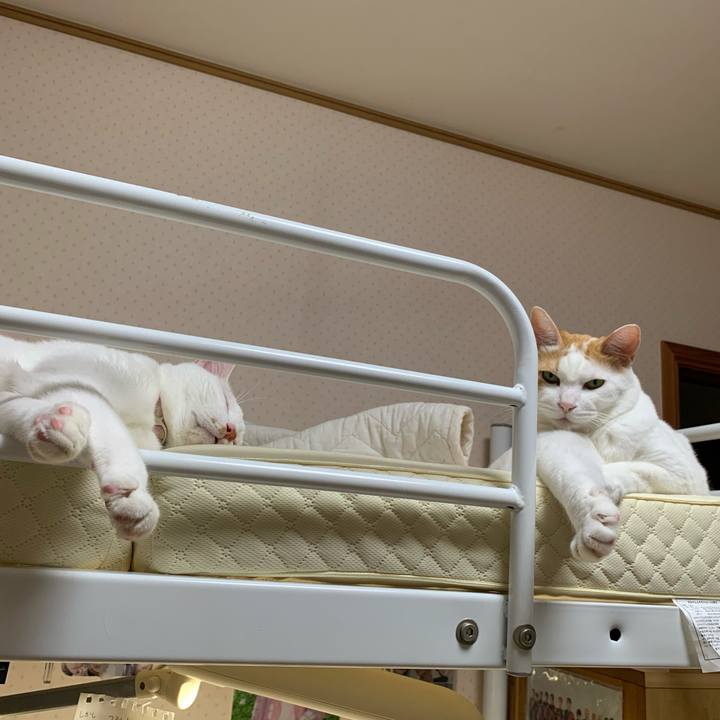 5cec57b5 5662 44d4 93c1 7a14a95b1971 1596322532978