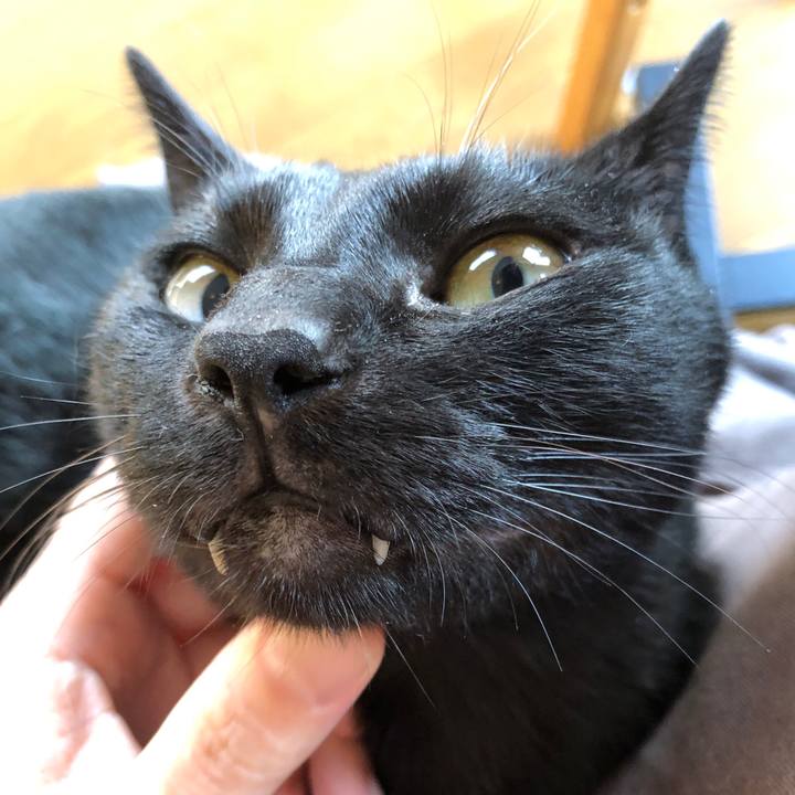 5cec6b2c ea1c 44fe bb9d ff3f9e8be4f2 1697840996011