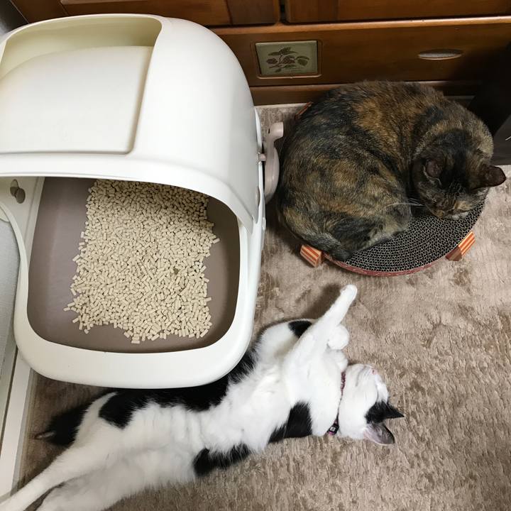 5cec8008 5b8d 4af5 b1ed 1b90a05abe56 1516280230530