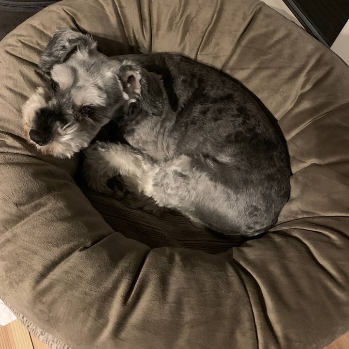 5cec8340 8990 4261 b80f 78518889c7a4 1688384796913