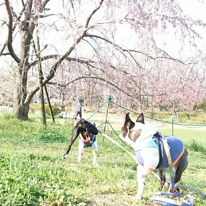 5cec984c 4566 41de a7b2 5890303f24a0 1521813953656