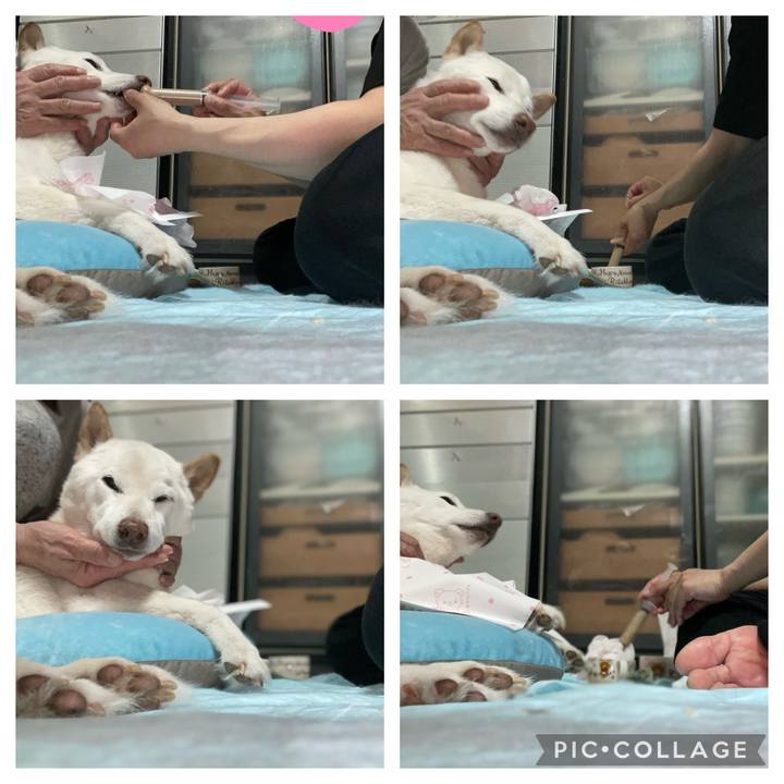 5cecb9ff fd07 4fbe b1ec fd3e8858aa9f 1647444817501