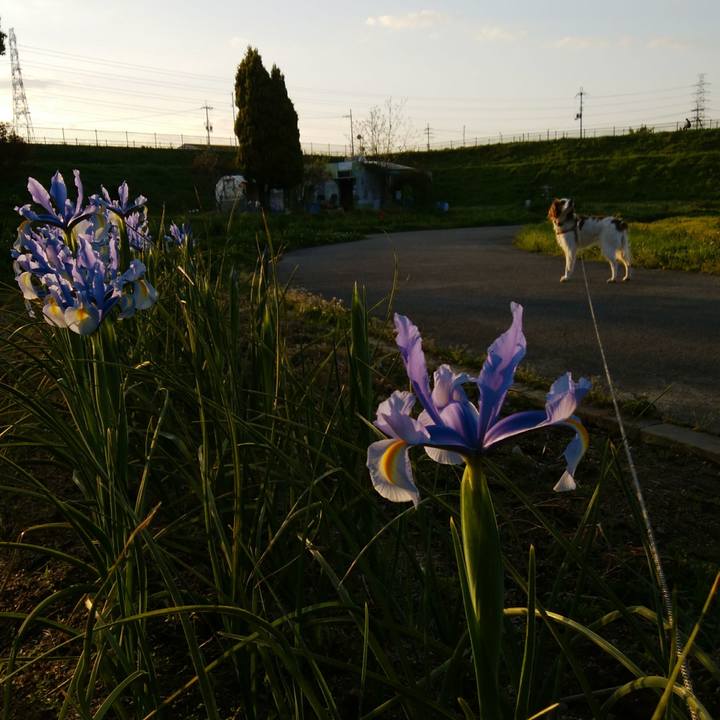 5cecf068 b75b 4a30 bdaf f0c9d9b13020 1524052301591