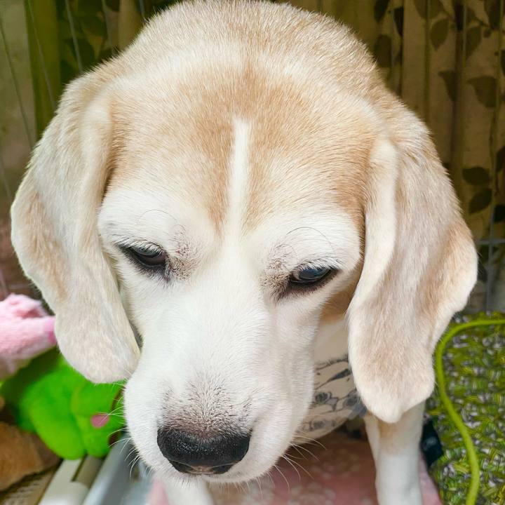 5cecfd86 7000 41ea 8cb4 4775a3519519 1652585492237