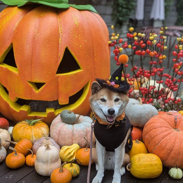 5ced36e2 162d 49cf ab58 88c95eb8f67c 1759720562279