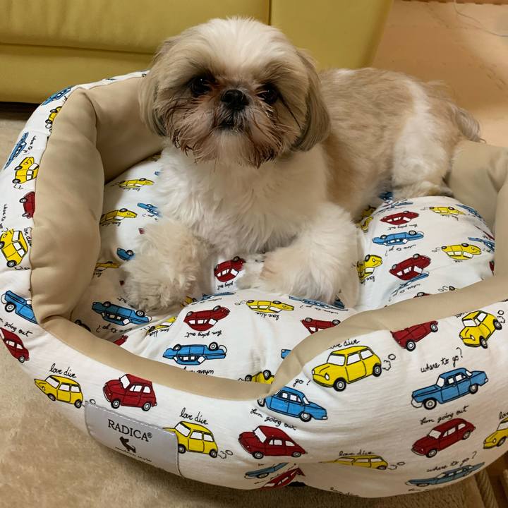 5cedb10a 4c38 4e48 ad86 c9fd4d05a512 1590490434276