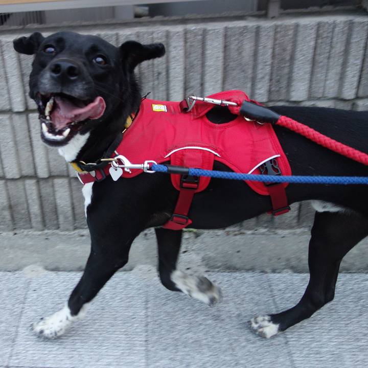 5cedbdaf 40a0 42cc 9eb9 533317bf94c9 1590921300514