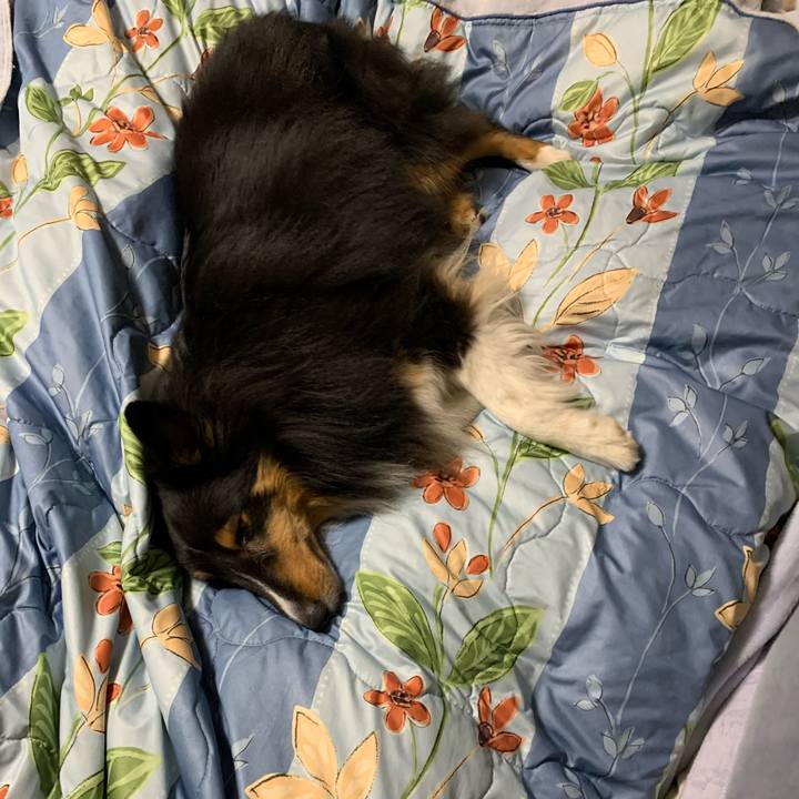 5cedbff6 bade 4c04 b909 65fd1314e935 1607291741984