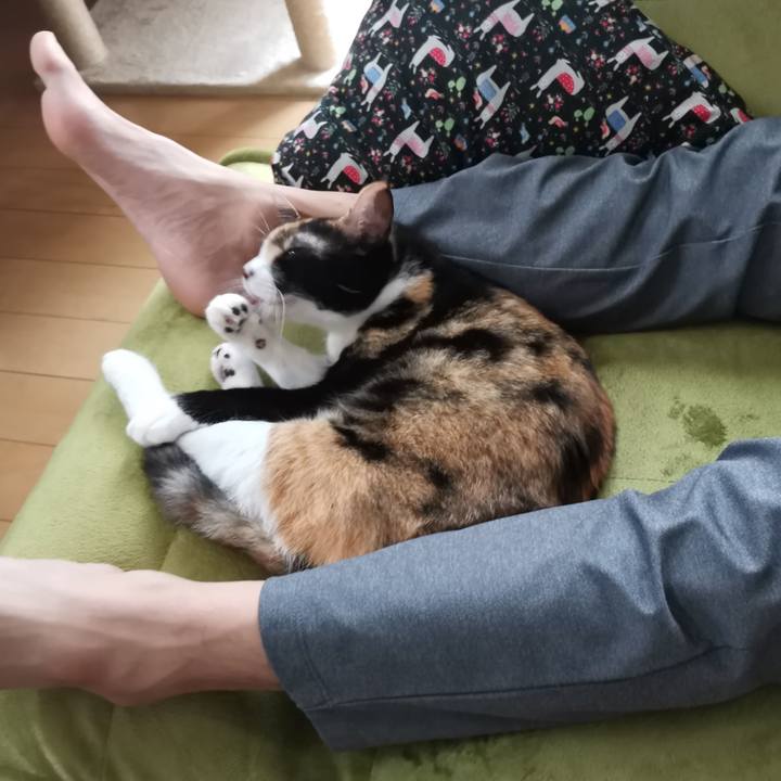 5cedfe32 8c2a 4c8b 954a 275c28c83468 1629964098503