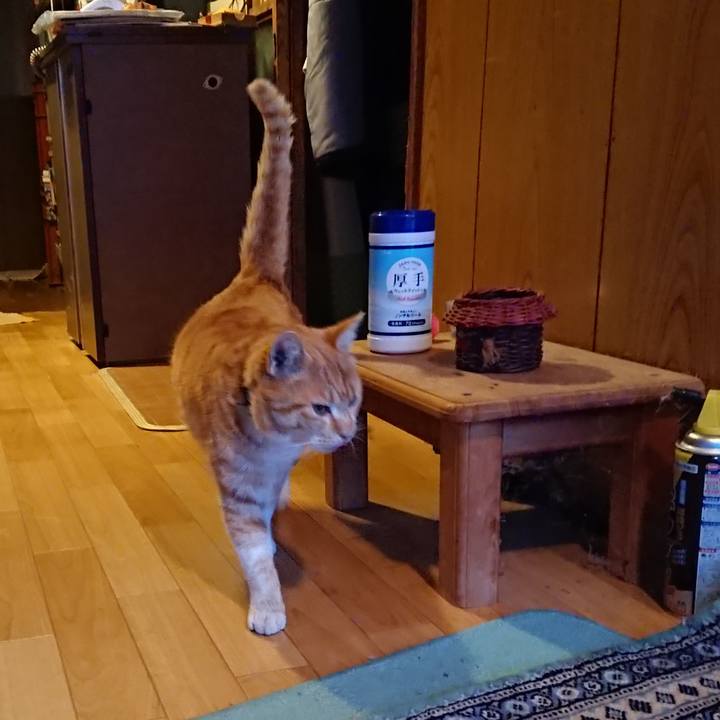 5cee9f50 2edc 41ae 9ff9 b2849ba5482f 1583311775096