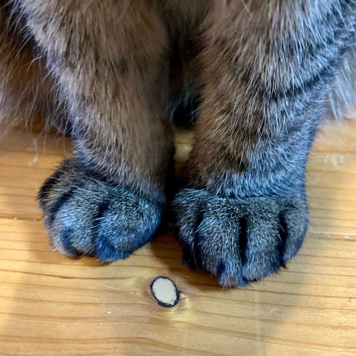 5ceeb87d 2ab9 4f34 b5ef ee7b06cd7e6e 1639099941972