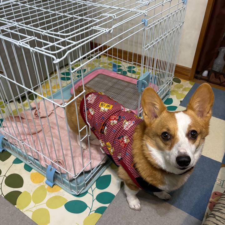 5cef0fa7 11f9 4bba ad18 500d121d25ad 1762932841610