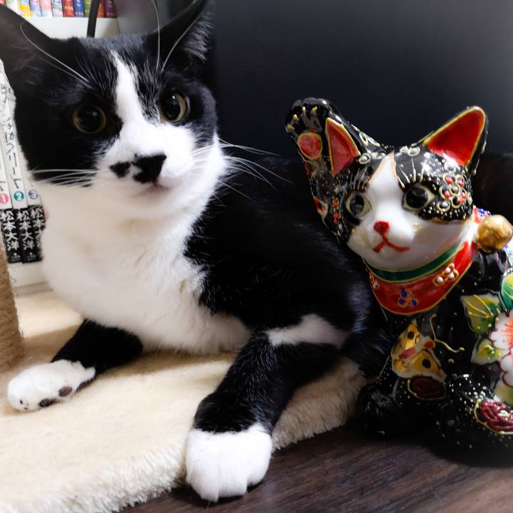 5cef1fb5 dd1d 4971 a878 52ddd250923c 1559478770227