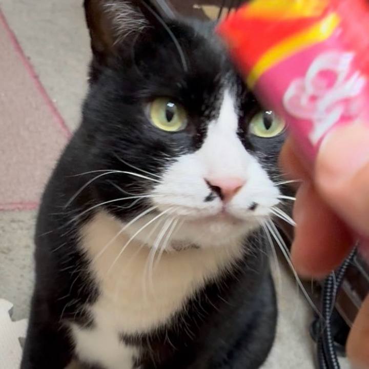 5cef4664 4ead 48f1 a5ec e36cd5110a78 1769352524066