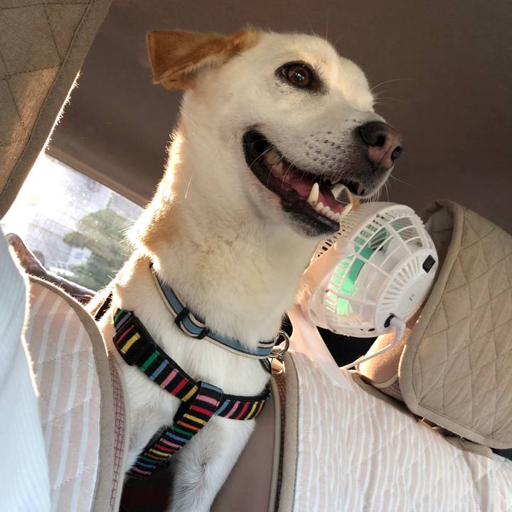 5cefa30c 6365 4e30 9d0b c762bf93782c 1628643821458