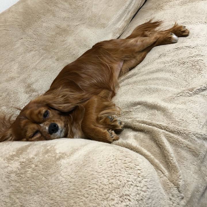 5cefb7ce b2f1 4b08 84d3 044c27c95a9f 1584878573974