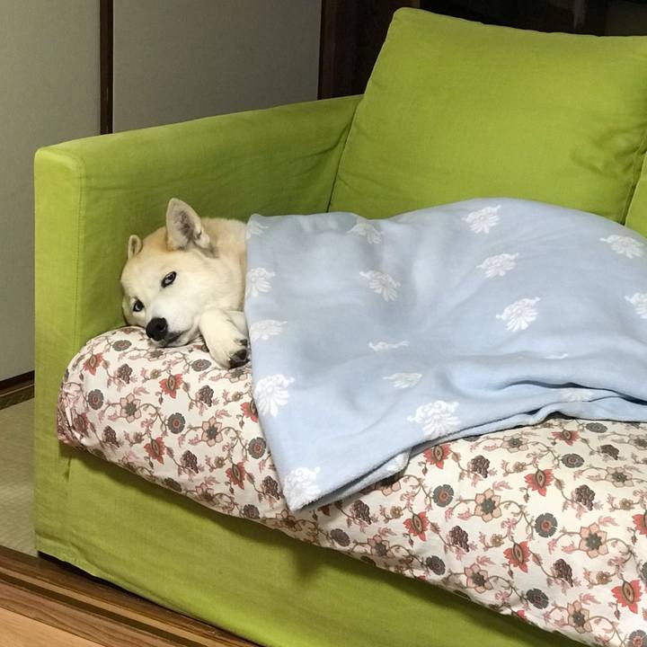 5cefbce9 62ea 439b 826a 69eeb174309c 1741081460585