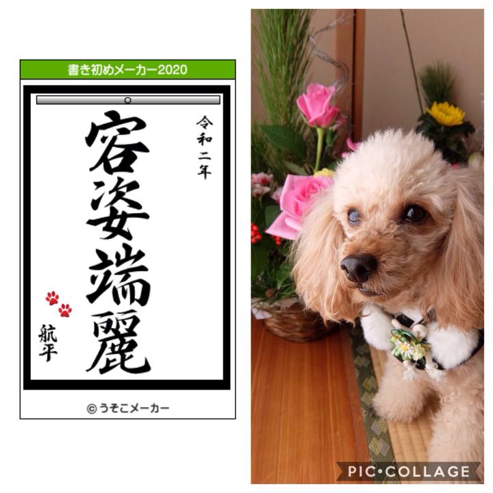 5cefe34e 578b 481f 824b 6f6cb9523113 1577858084205