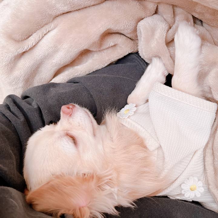 5cf0080f 1ce5 43c7 bc98 75d8ade3206c 1667008936626