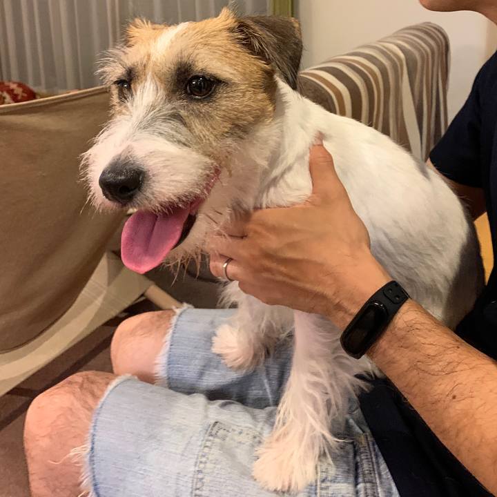 5cf01096 1d0e 420f 9783 1a99c051875b 1599651382193