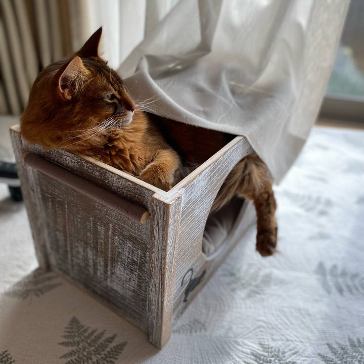 5cf05253 1adf 4f64 8a28 7e5248320997 1641443032458