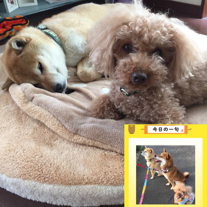 5cf05366 2bd4 4948 be25 b6c0f1214c9d 1522897747619