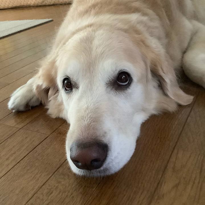 5cf0559e 86de 4d06 8115 2c945092d2e6 1600378025215