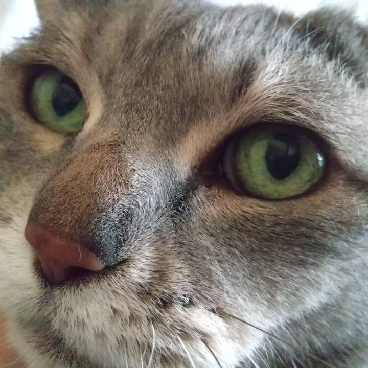 5cf05da1 59b0 4341 9f5e 0ea4d1b31571 1619836198737