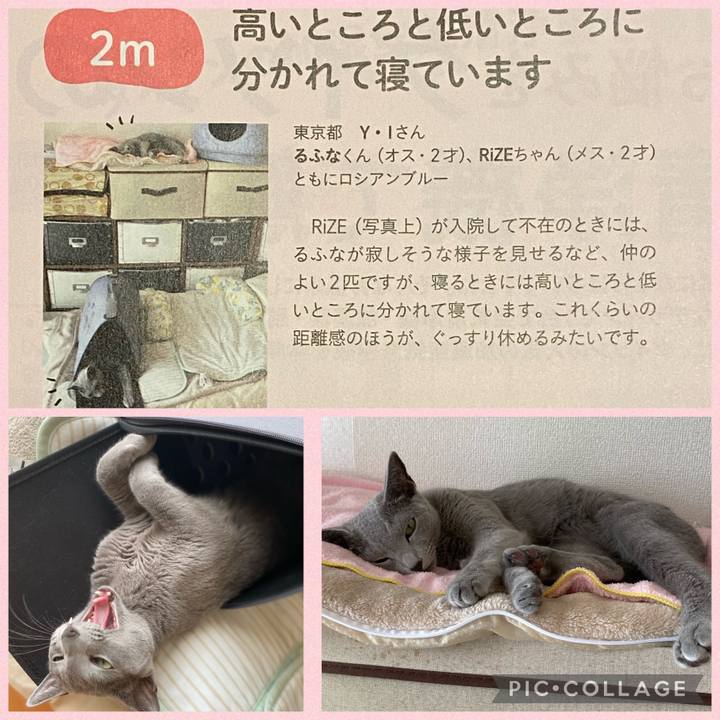 5cf08982 be08 4a98 80d1 b2bf7ed970b1 1665299922929