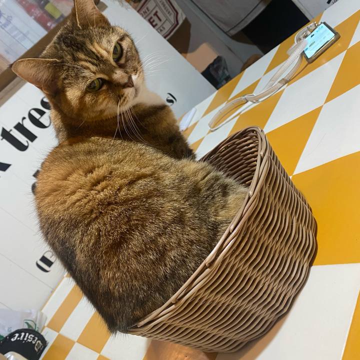 5cf0d43c 5305 428c 8d71 17764238435d 1712413705886