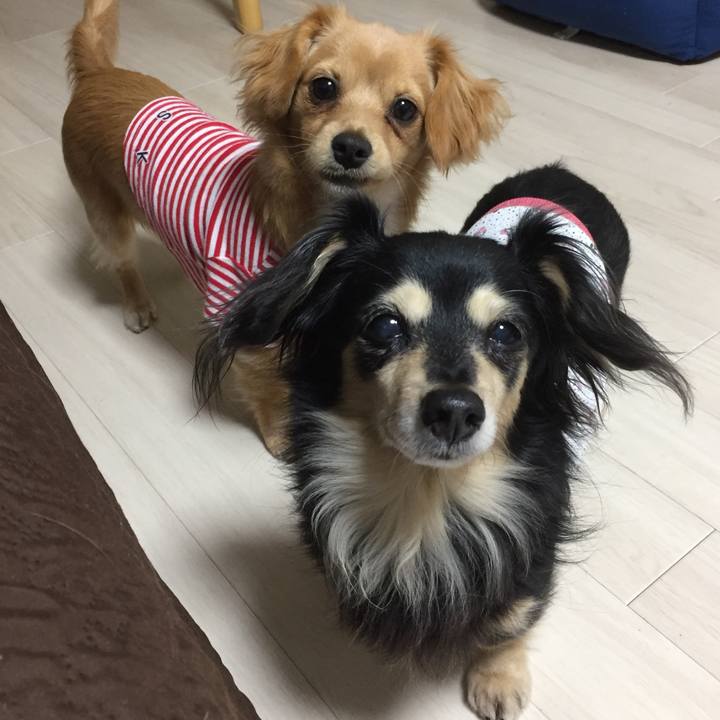 5cf1266b 427c 4f3f 9811 1d9cd76269ee 1514882192876