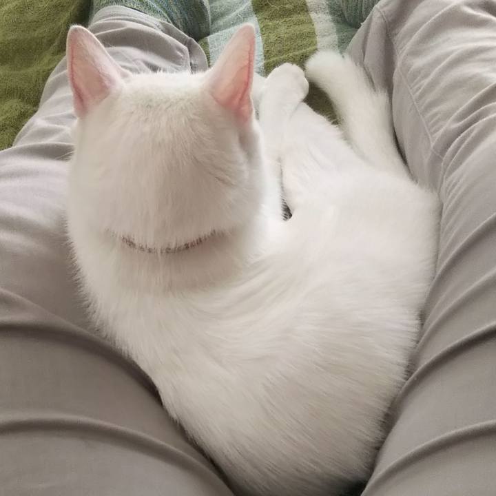 5cf1404f e098 474c 8a49 913014087be4 1627517758217