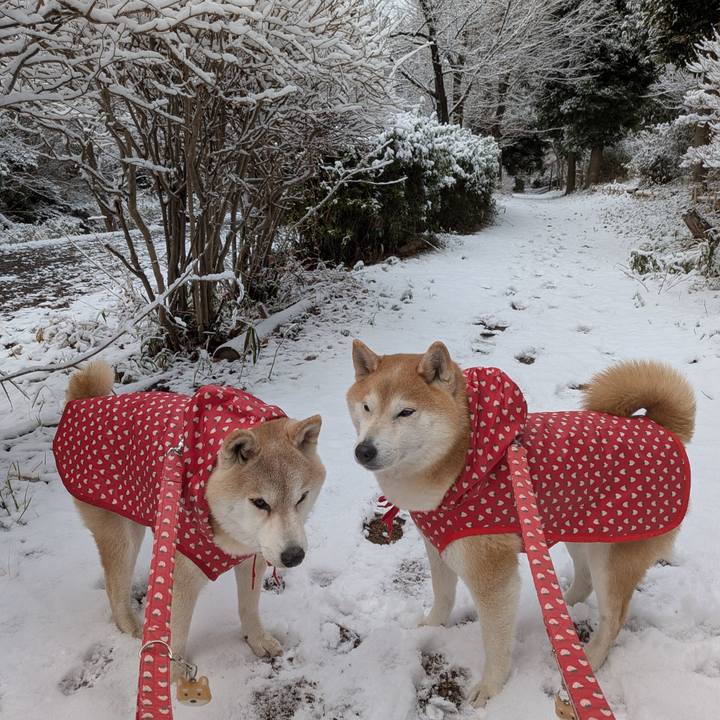 5cf143a8 e05e 4dbb 8de9 560b850b2171 1770523397565