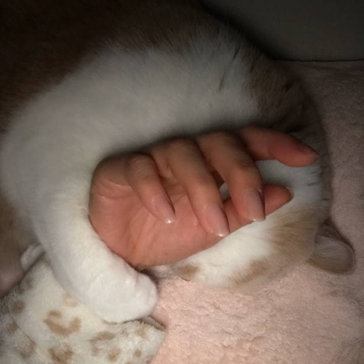 5cf15924 a077 4d1f 83ec 6ed2d1e4b38d 1510275664186