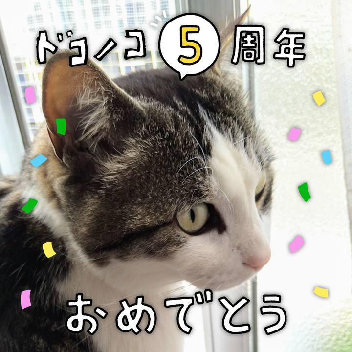 5cf19019 b359 4118 8d03 e3dcf7b1b416 1622867944342