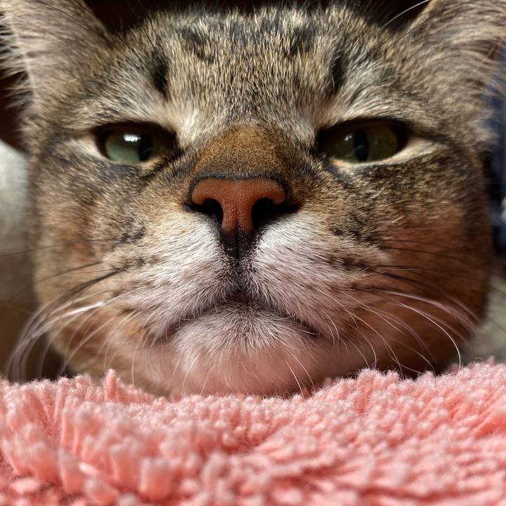 5cf1b6b1 0014 4920 9d2a b3ffeca3af6e 1580626013912