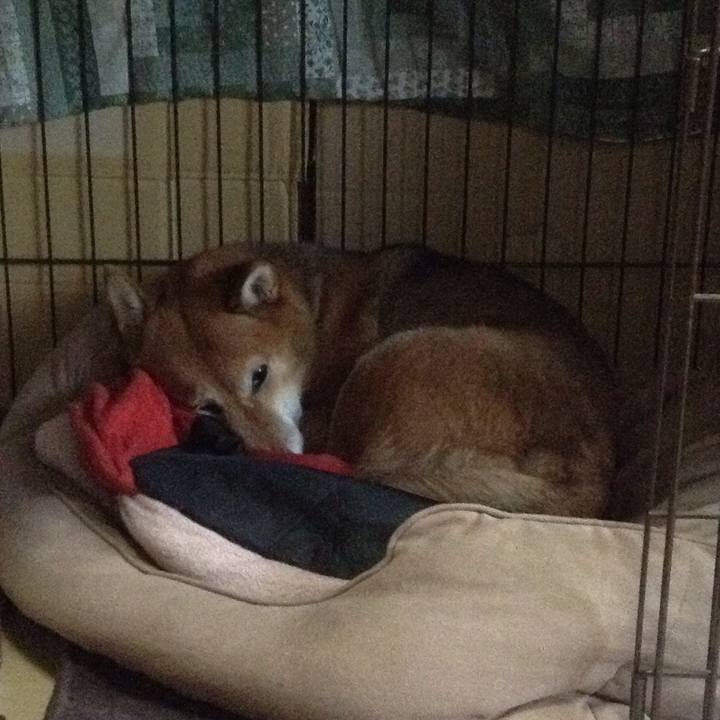 5cf1c39b 1087 474f 8838 305ae18b3137 1510268670602