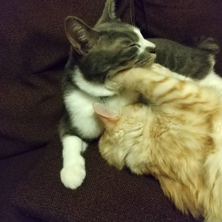 5cf1ebfc 6ba9 44e8 aa03 e9c81bbed029 1617015970308