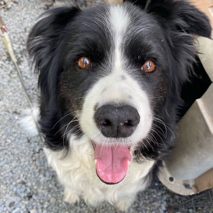 5cf201bf 6ddd 4fa8 88cd b616e5243f17 1652834665272