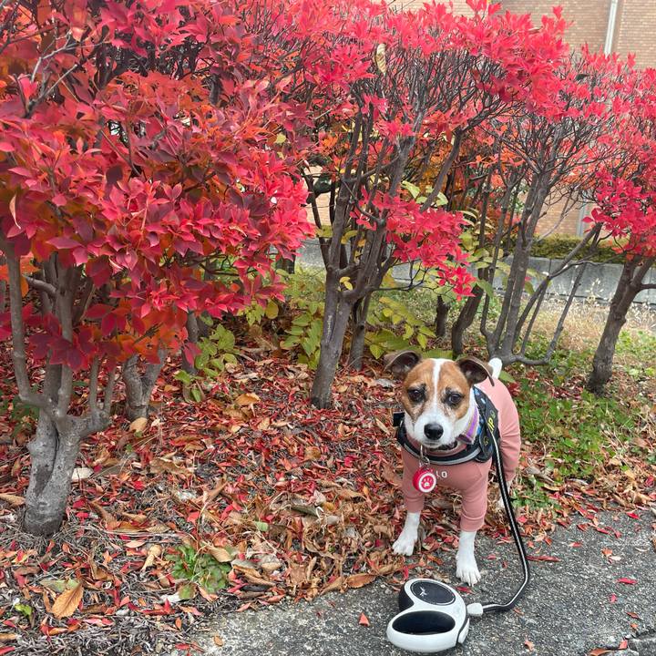 5cf20e2f 6689 47c8 b94d 7308b868a4d7 1740003623297