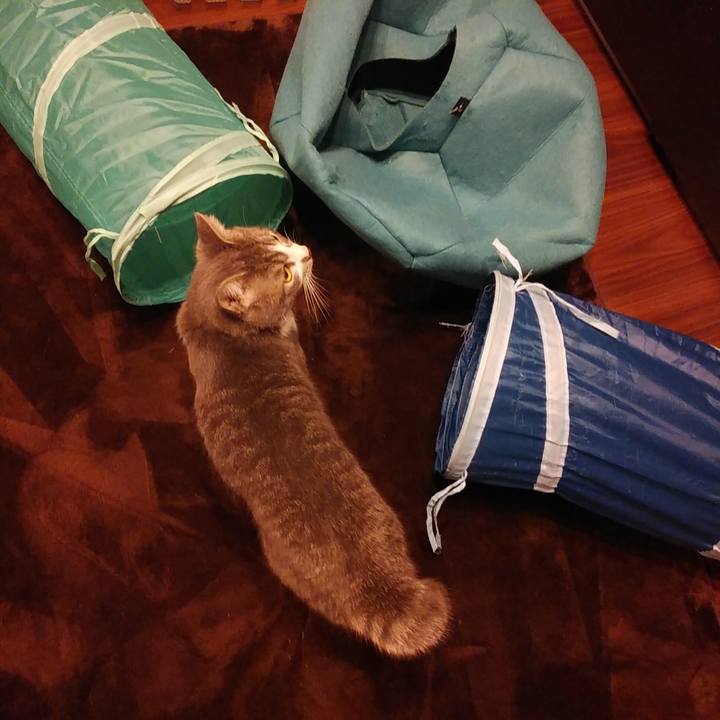 5cf27ef9 7db5 448d b1d6 88cefc7e2aee 1577284223543