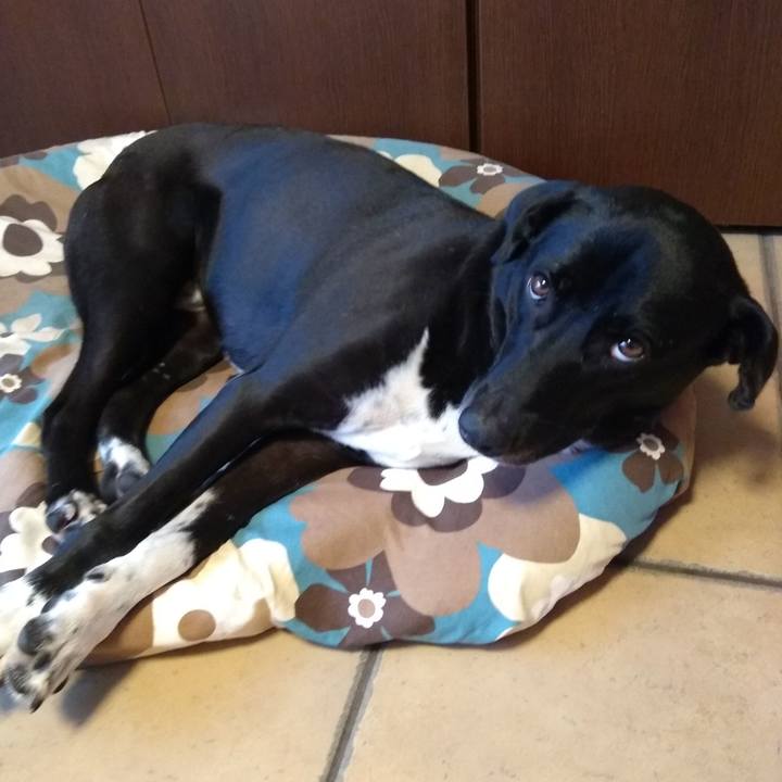 5cf2a231 9445 4923 90ed 5a42543e578a 1600907387151