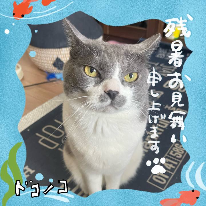 5cf2b270 1bf9 453e aa1f ebd6383065bf 1723201060968