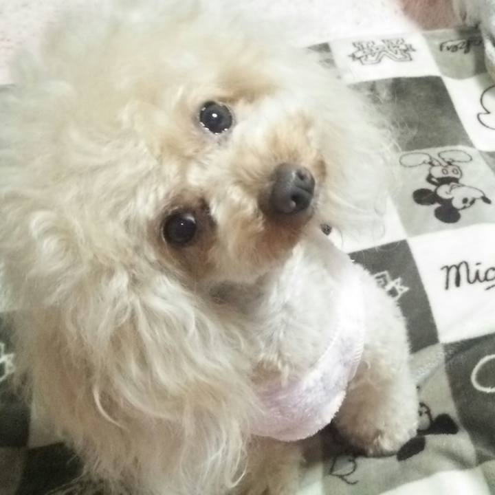 5cf2c513 eeff 429d b3bf 091356c4bcf6 1549539331473