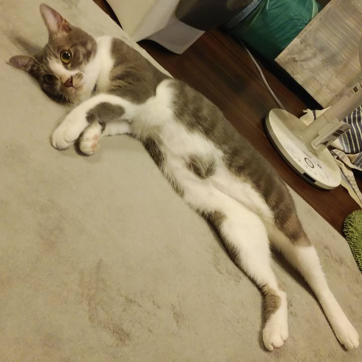 5cf2fcb6 b01a 4a4b 9ddc 073297b1a2cf 1595337756185