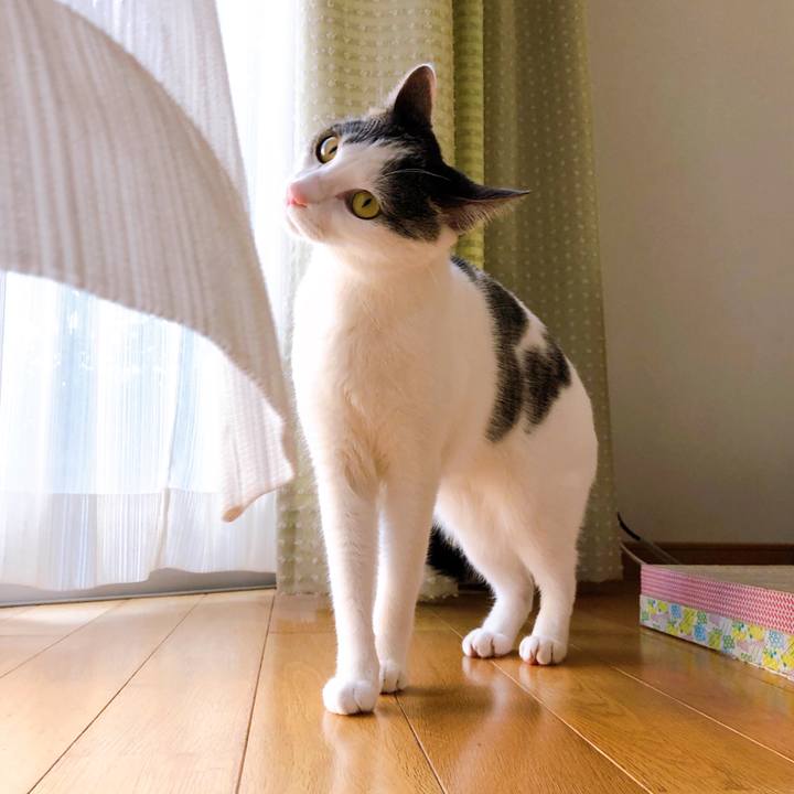 5cf31a99 1a3d 4a5e 9d23 5f44e6e52cbd 1591084511628