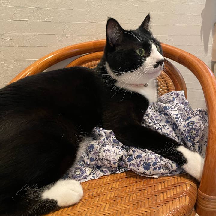 5cf32ef3 eaf6 4d7d 921d 61f8c968a418 1658450829669