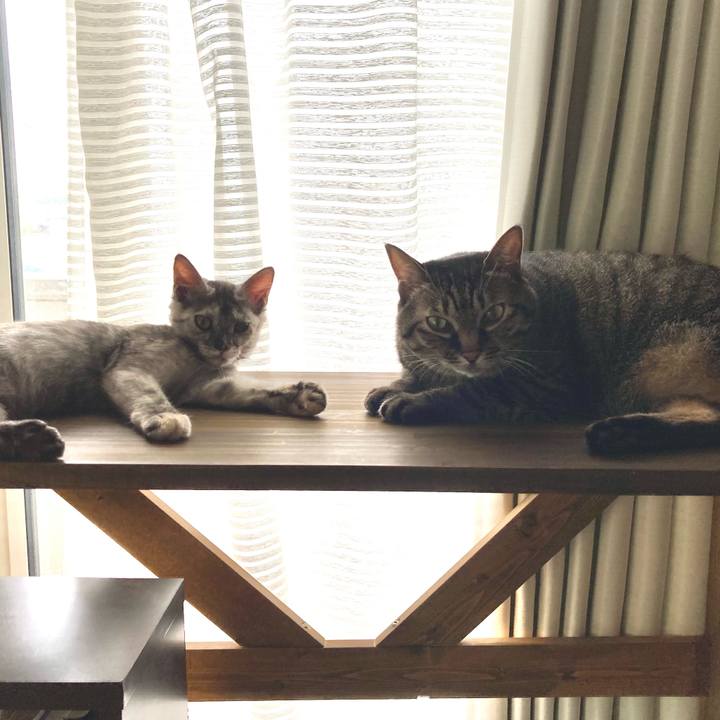 5cf3425d c089 41fb b34e c5a682fece96 1694828978035