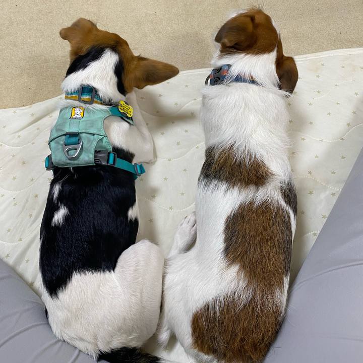 5cf369c0 9476 4f5d ade9 07c9f5dc1c7c 1752670919517