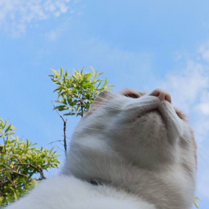 5cf395c5 9bc3 4cc5 861d 449d74ac599b 1530876912905